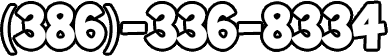 3863368334